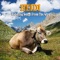 Appenzeller Yodel - Heidi lyrics