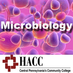 BIOL 221: Microbiology - rn cover