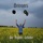 Brungers-Bohnsopp Blues