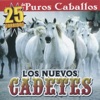 25 Corridos de Puros Caballos