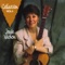 N'oublie pas - Jose'e Vachon lyrics
