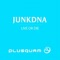 Live or Die - JunkDNA lyrics