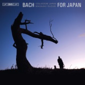 Bach for Japan artwork