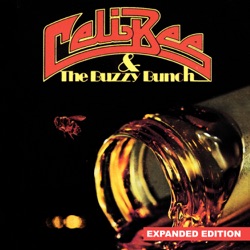Celi Bee & The Buzzy Bunch - One Love