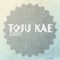 Lines (Indiekid Remix) - Toju Kae lyrics