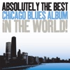 Absolutely the Best Chicago Blues Album In the World!