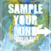 Immortal Beats - Oh Wee