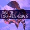 Do Wah Diddy Diddy - Los Gatos Negros lyrics