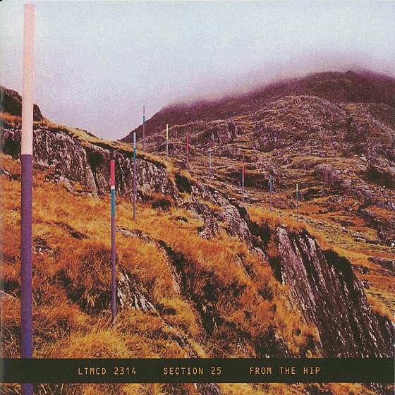 Cover artwork for Looking from a Hilltop