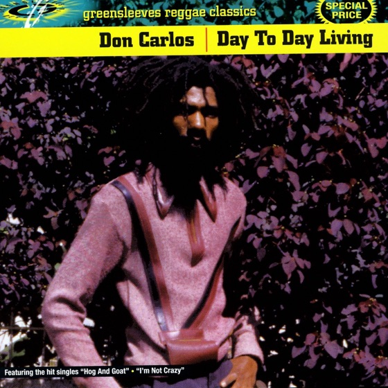 Cover artwork for I'm Not Crazy