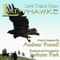 Ladyhawke (Love Theme from the Motion Picture) - Joohyun Park & Andrew Powell lyrics