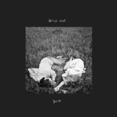 Wild Cub - Colour