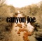 Canyon Joe - Joe Purdy lyrics