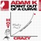 Point Out of a Curve - Adam K lyrics