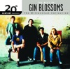 20th Century Masters - The Millennium Collection: Gin Blossoms artwork