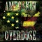 Falling - Amerakin Overdose lyrics