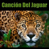 Canción Del Jaguar artwork