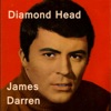 James Darren - Goodbye Cruel World