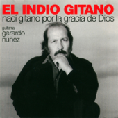 Nací Gitano por la Gracia de Dios (feat. Gerardo Núñez) - El Indio Gitano