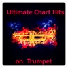 The Trumpet Man - Let Her Go (Acoustic Trumpet Mix)