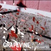 GRAPEVINE