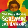 I Put a Spell on You by Screamin' Jay Hawkins iTunes Track 9