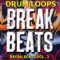 Bongo Drum Loops 1 - Drum Loops lyrics