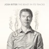 Josh Ritter - Joy to You Baby
