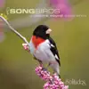 Stream & download Songbirds