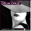 Celia Cruz - Tumba la Cana Jibarito