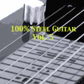 100% Steel Guitar, Vol. 5 - Various Artists