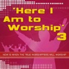 Here I Am to Worship, Vol. 3, 2007
