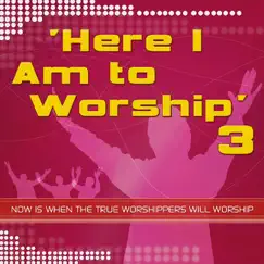Here I Am to Worship, Vol. 3 by Kingsway Music album reviews, ratings, credits