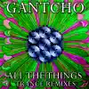 All The Things - Trance Remixes - Single album lyrics, reviews, download