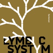 Lymbyc Systym - Eyes Forward