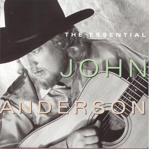 John Anderson - Let the Guitar Do the Talkin' - Line Dance Musique