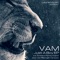 Just a Boy (Emiliano Ferreyra Remix) - VAM lyrics