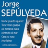Jorge Sepúlveda & Su Orquesta - Mirando al Mar