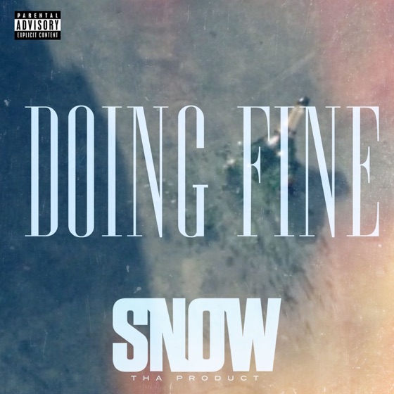 Cover artwork for Doing Fine