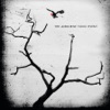 The Airborne Toxic Event (Deluxe Edition) artwork