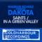 In a Green Valley (Extended Mix) - Markus Schulz & Dakota lyrics