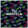 The Marcels, 2013