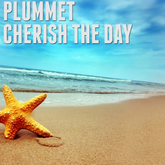 Cover artwork for Cherish the Day