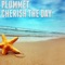 Cherish the Day - Plummet lyrics