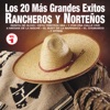 Los 20 Más Grandes Éxitos Rancheros y Norteños, Vol. 1, 1997