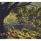 Green Mountain Meadows - Denise Young lyrics