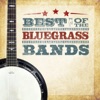 Best of the Bluegrass Bands