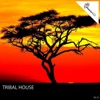 Tribal House Selecta