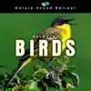 Relaxing Birds album lyrics, reviews, download