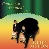 Lobo Y Melon Y Su Conjunto - Indeciso